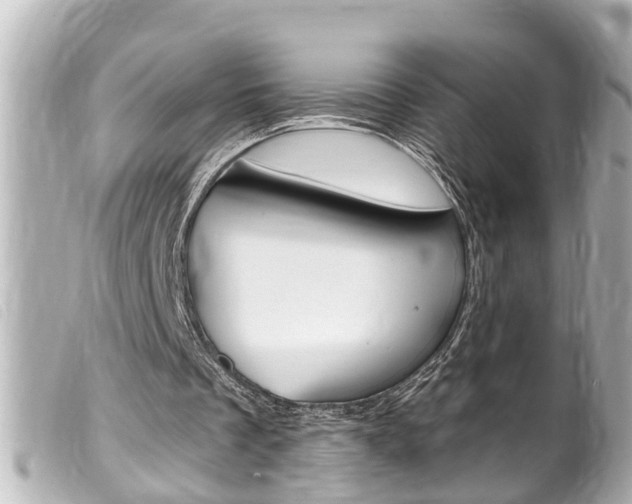 X0000100210289200805300732