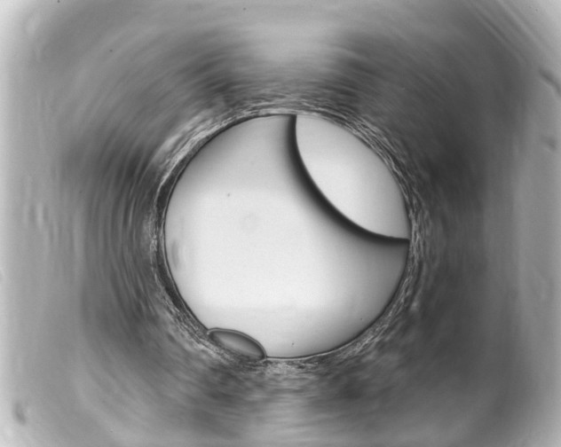 X0000100210290200805300732