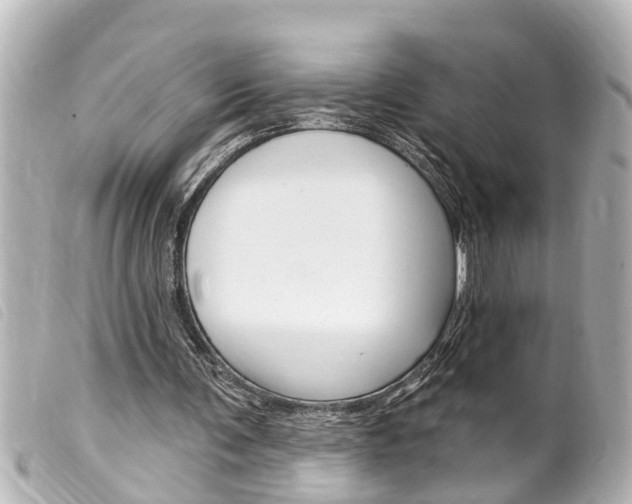 X0000100210291200805300732