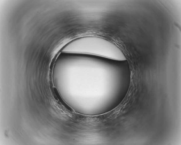 X0000100210292200805300732