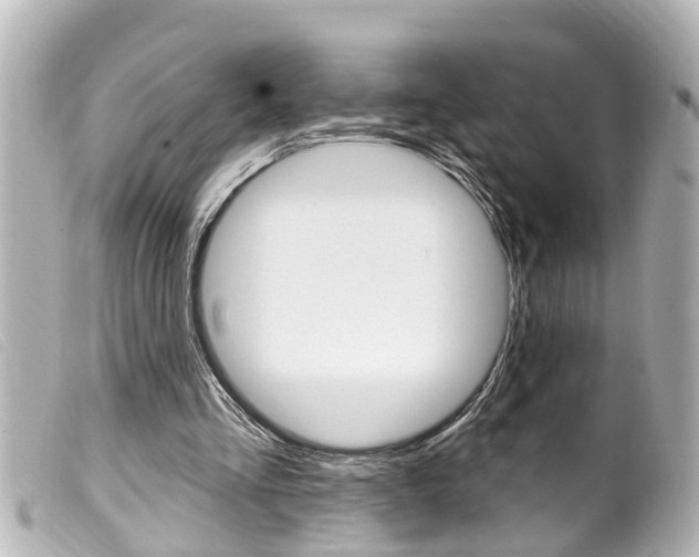 X0000100210293200805300732