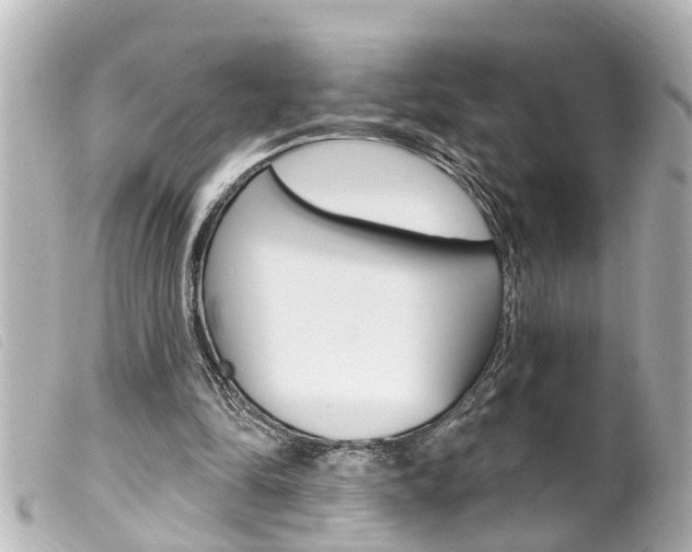 X0000100210294200805300732