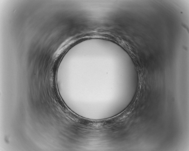 X0000100210295200805300732