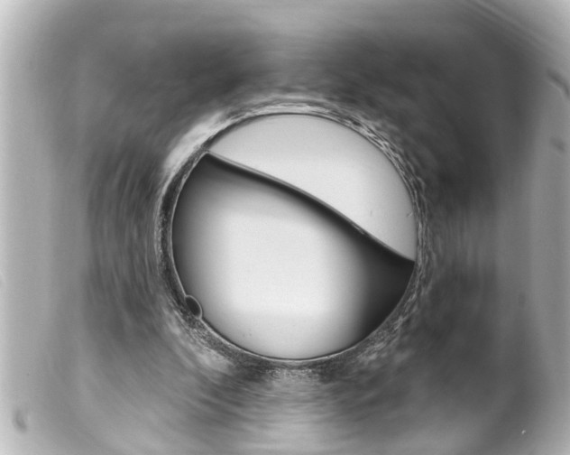 X0000100210296200805300732