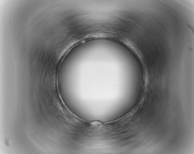 X0000100210297200805300732