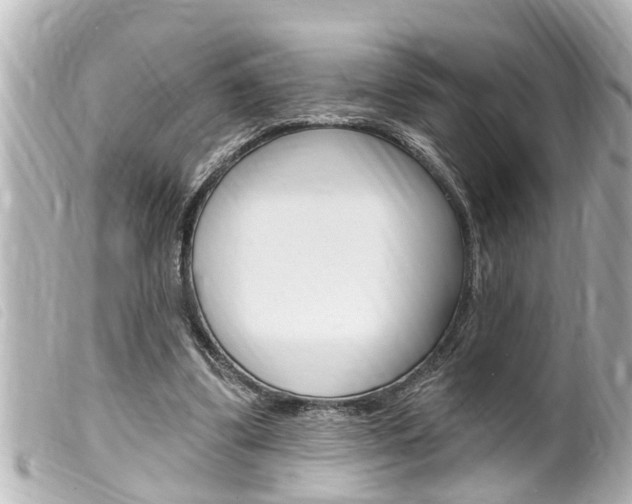 X0000100210299200805300732