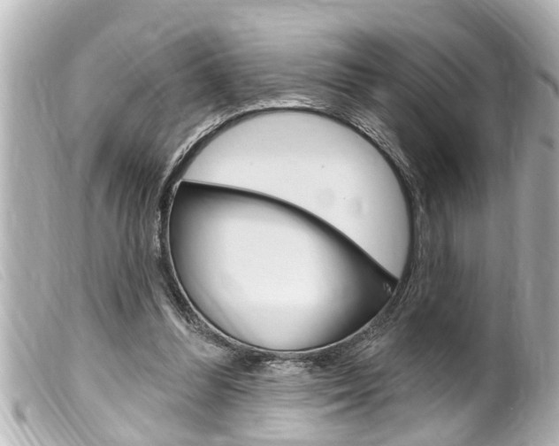 X0000100210300200805300732