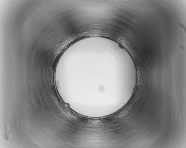 X0000100210301200805300732