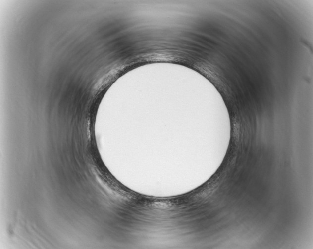 X0000100210302200805300732