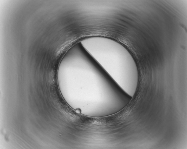 X0000100210303200805300732