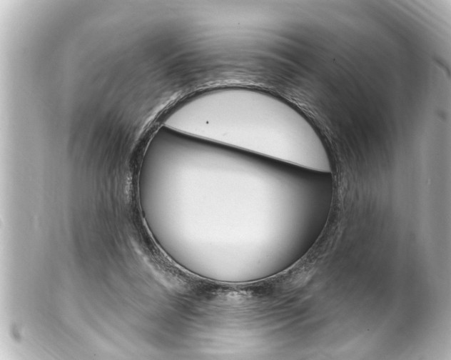 X0000100210304200805300732