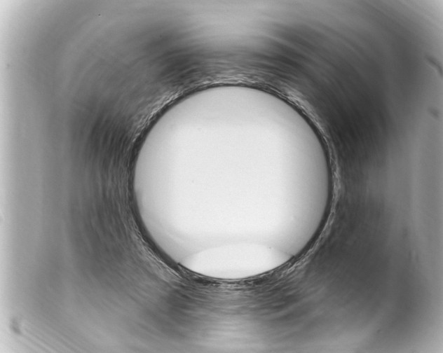 X0000100210305200805300732