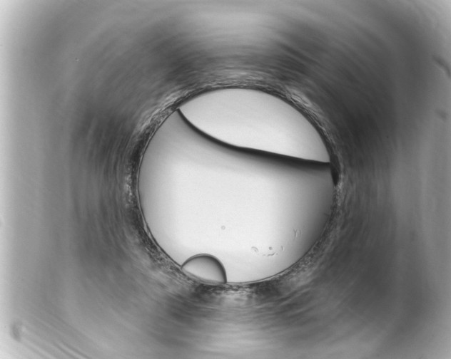 X0000100210306200805300732