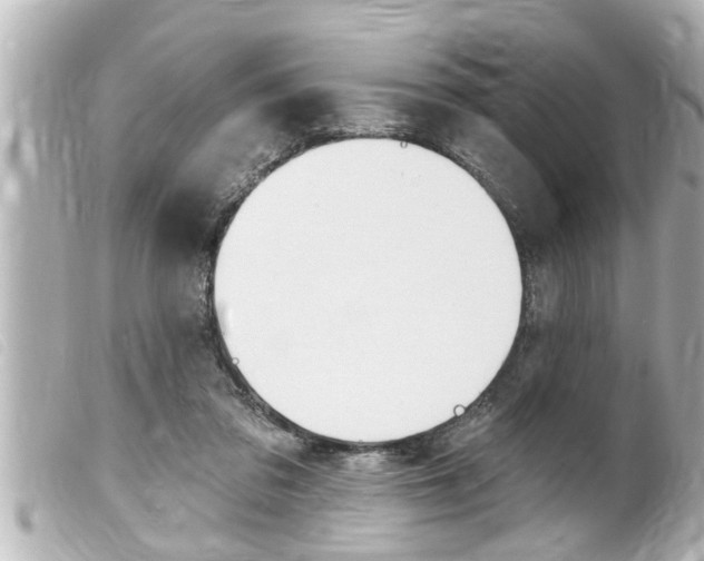 X0000100210309200805300732