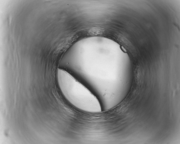 X0000100210315200805300731