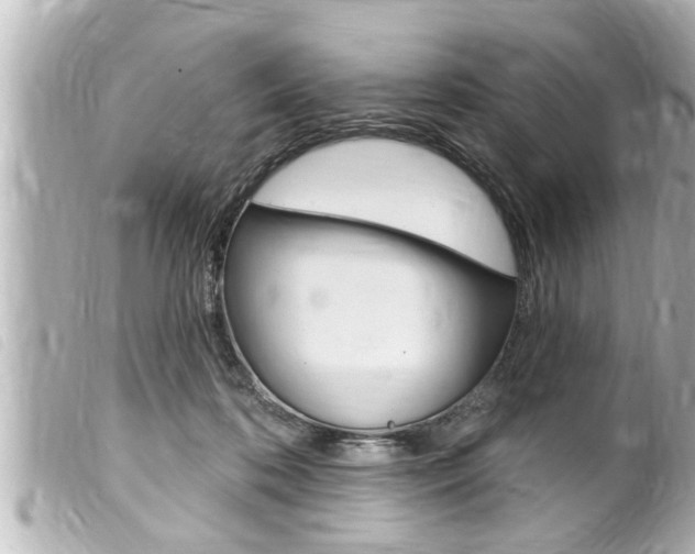 X0000100210316200805300731