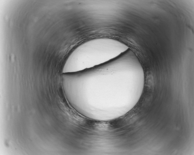 X0000100210318200805300731