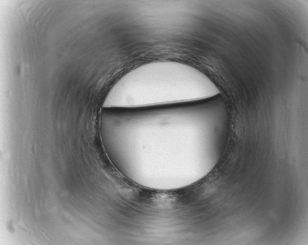 X0000100210319200805300731