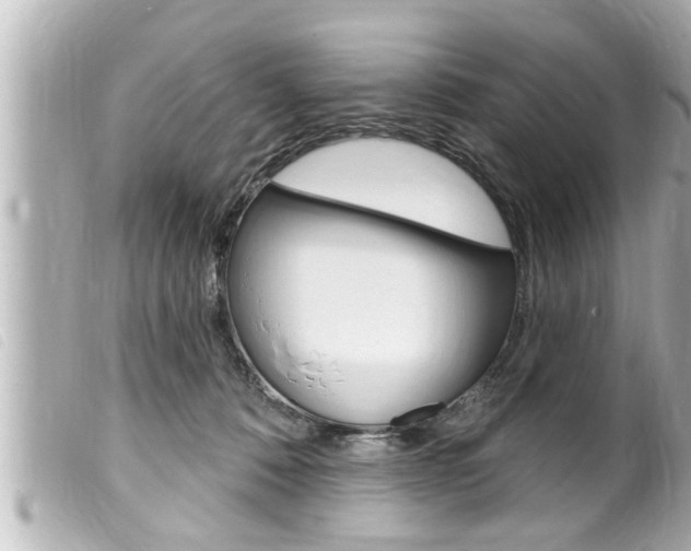 X0000100210320200805300731