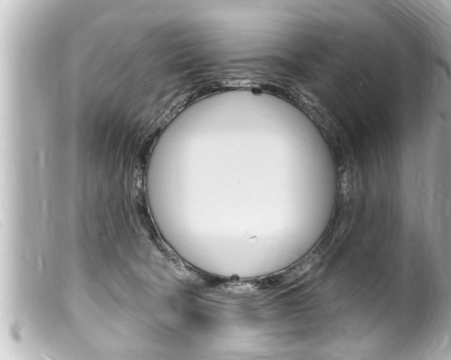 X0000100210322200805300731
