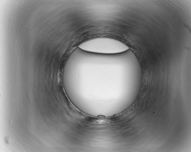 X0000100210323200805300731