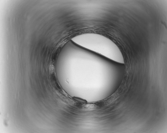 X0000100210324200805300731