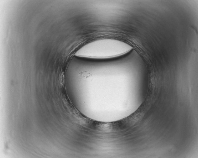X0000100210325200805300731