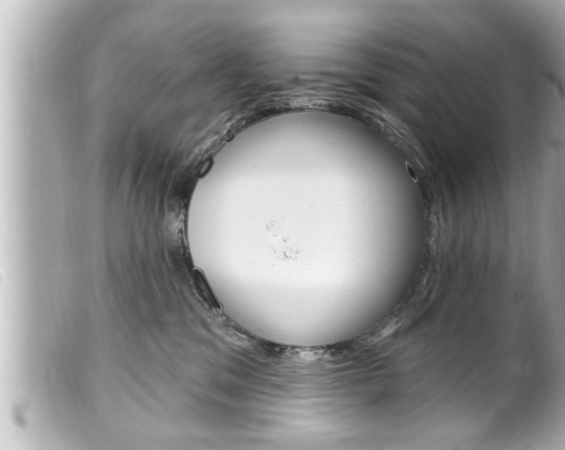 X0000100210329200805300731