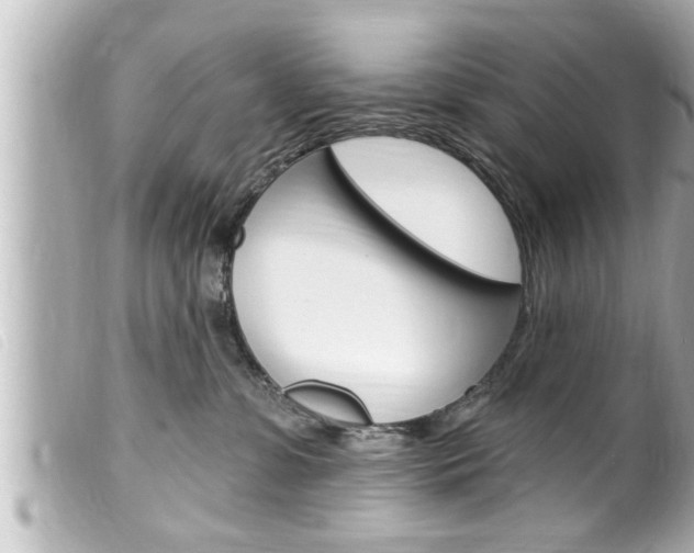X0000100210331200805300731