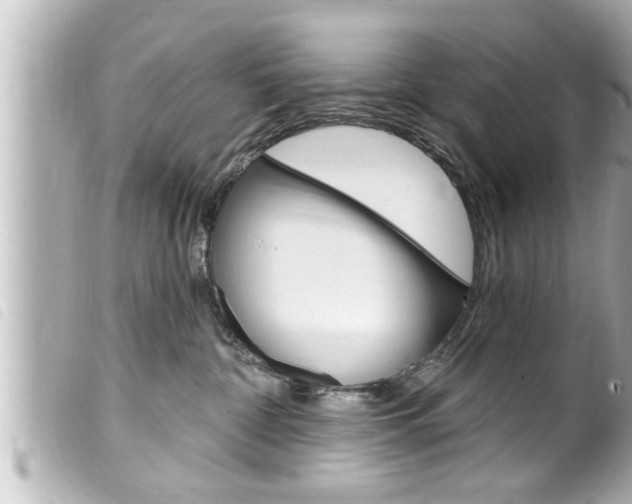 X0000100210332200805300731