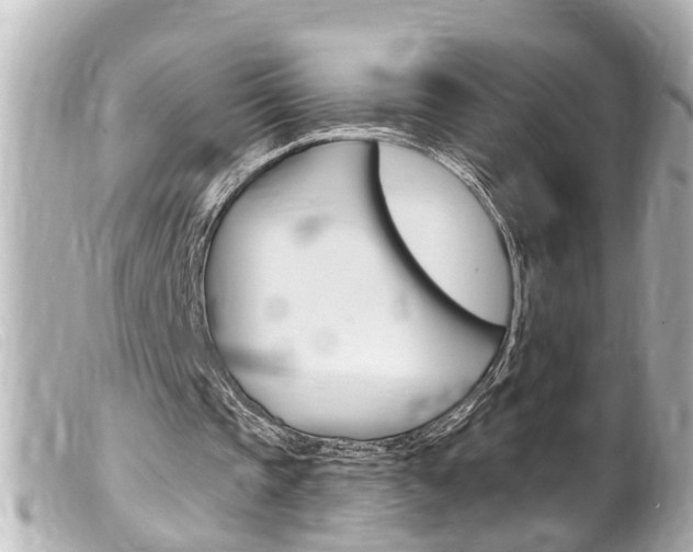 X0000100210337200805300730