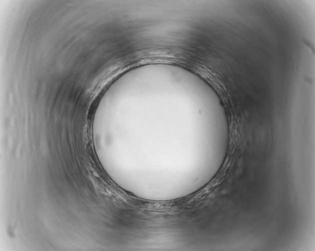 X0000100210338200805300730