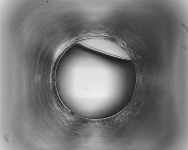 X0000100210340200805300730