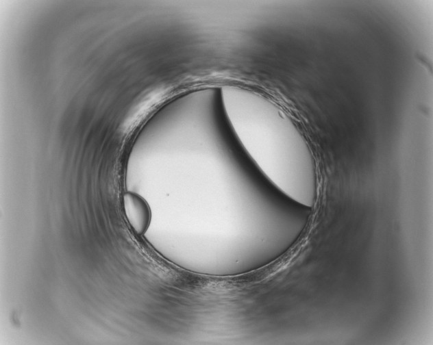 X0000100210341200805300731