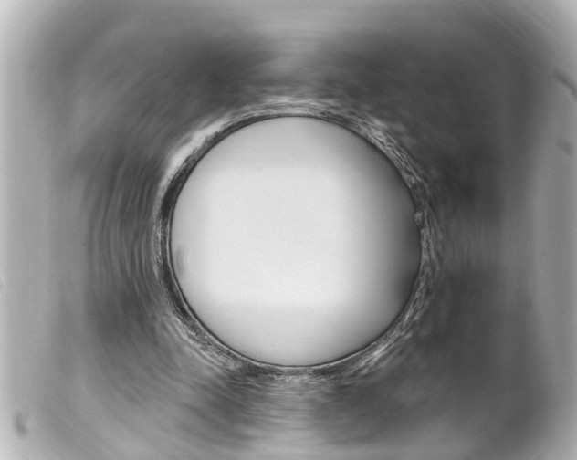 X0000100210342200805300731