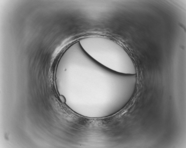 X0000100210343200805300731