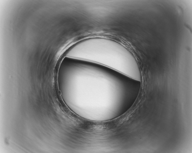 X0000100210344200805300731