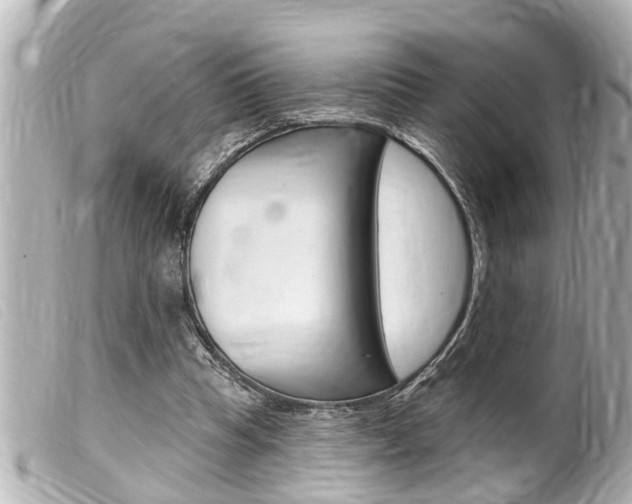 X0000100210345200805300731