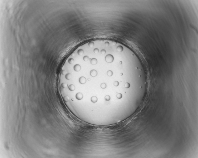 X0000100210346200805300731