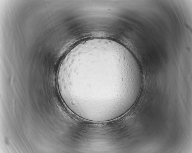 X0000100210347200805300731
