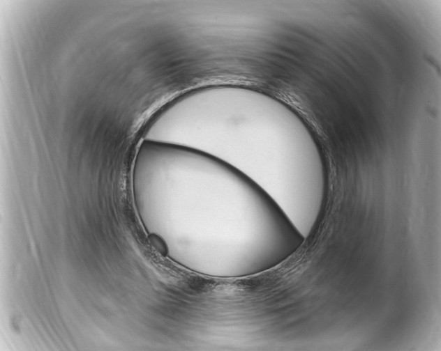 X0000100210348200805300731
