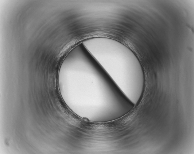 X0000100210349200805300731