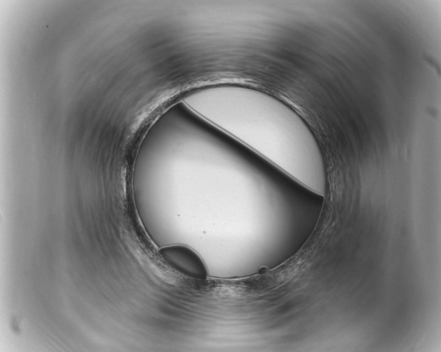 X0000100210350200805300731