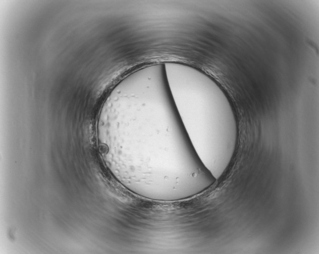 X0000100210351200805300731