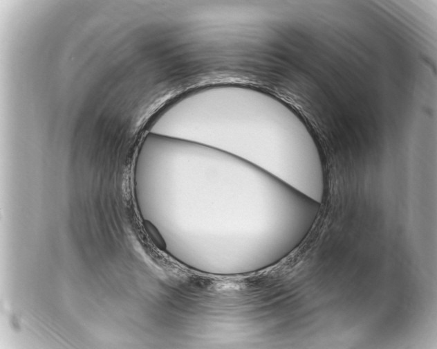 X0000100210352200805300731