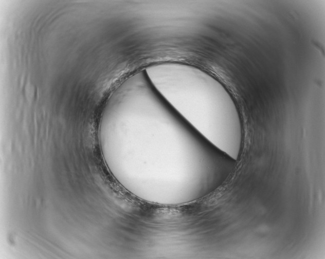 X0000100210354200805300731