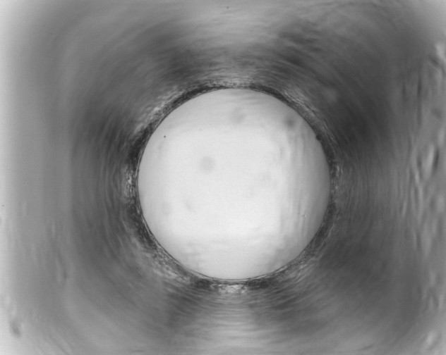 X0000100210355200805300731
