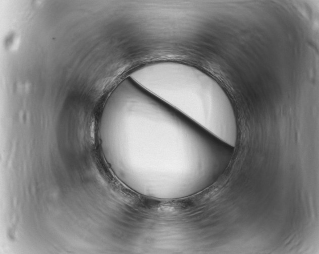 X0000100210358200805300731