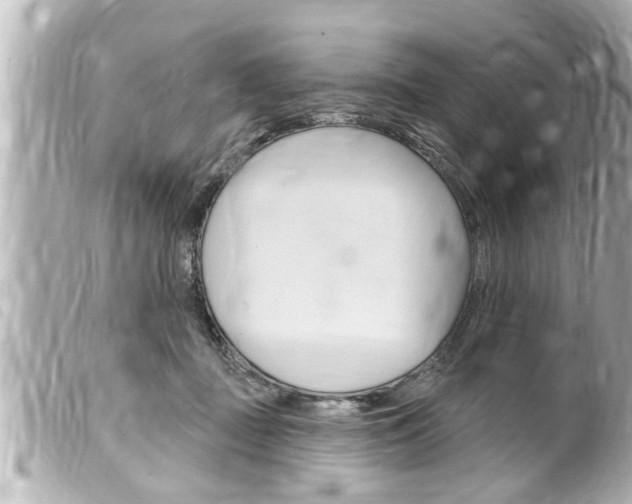 X0000100210363200805300731