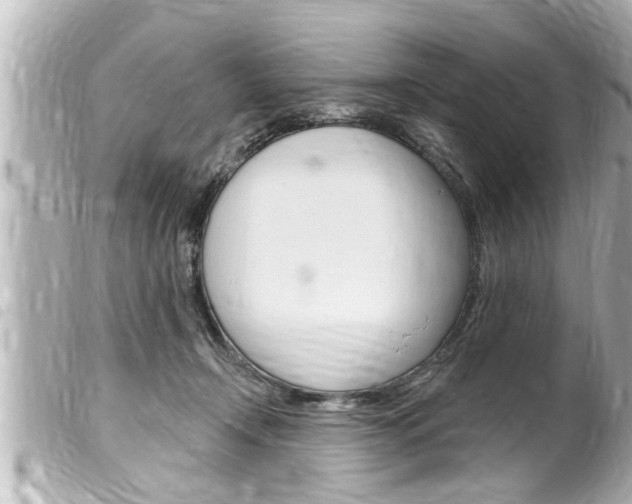 X0000100210366200805300731
